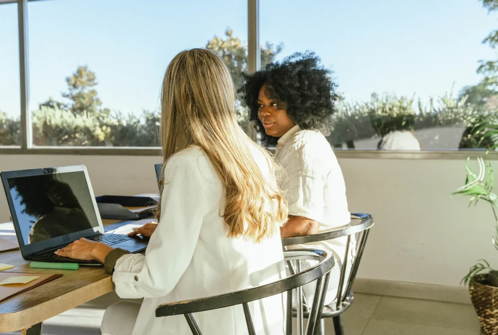 Professional Website